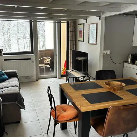 48m With Balcony And Mountain View! Appartement Chamonix